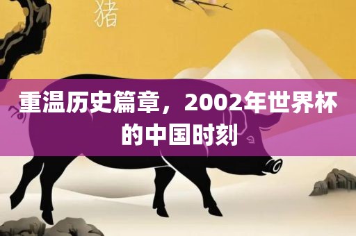 重温历史篇章，2002年世界杯的中国时刻