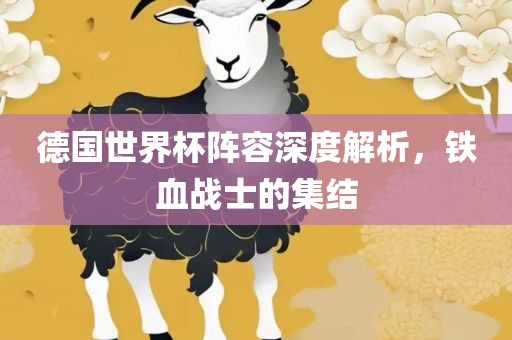 德国世界杯阵容深度解析，铁血战士的集结