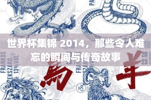 世界杯集锦 2014，那些令人难忘的瞬间与传奇故事