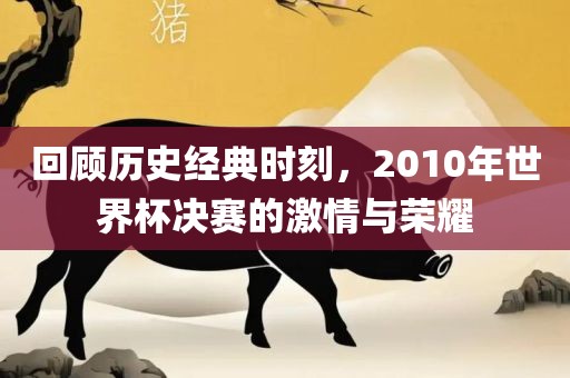 回顾历史经典时刻，2010年世界杯决赛的激情与荣耀
