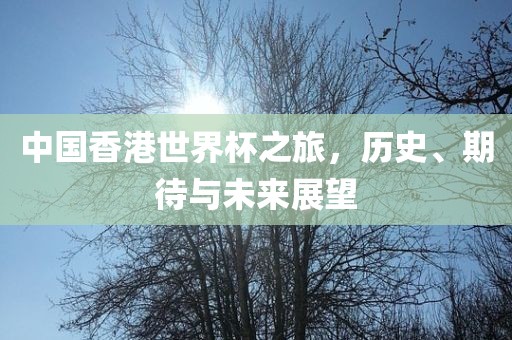 中国香港世界杯之旅，历史、期待与未来展望