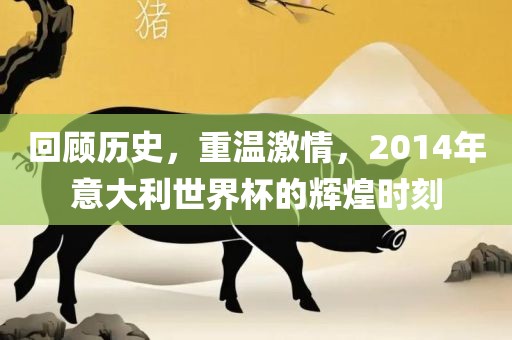 回顾历史，重温激情，2014年意大利世界杯的辉煌时刻