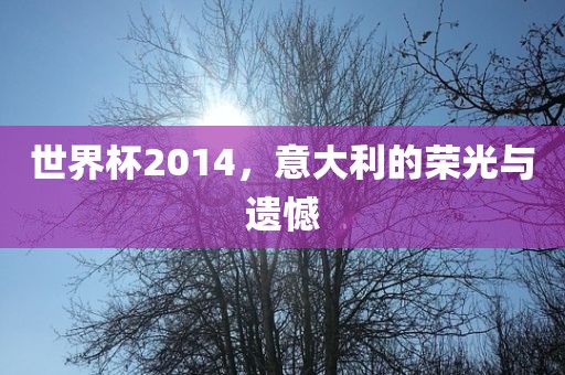 世界杯2014，意大利的荣光与遗憾