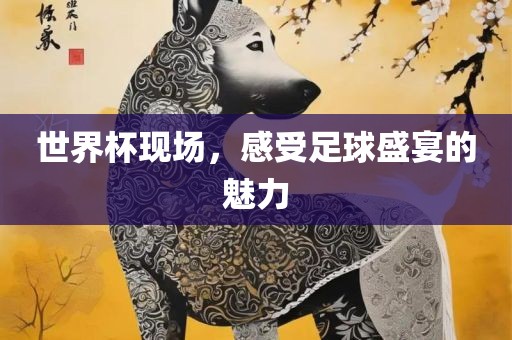 世界杯现场，感受足球盛宴的魅力