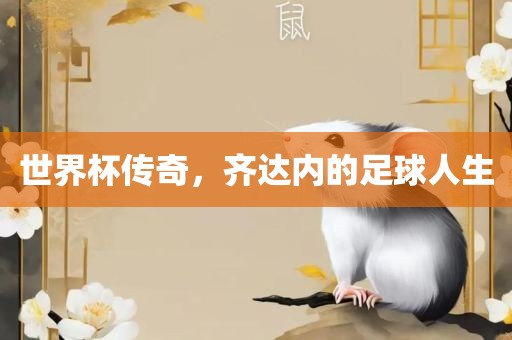 世界杯传奇，齐达内的足球人生