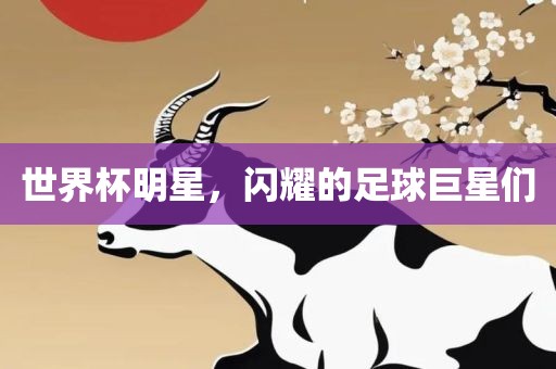 世界杯明星，闪耀的足球巨星们