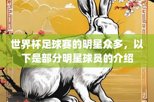 世界杯足球赛的明星众多，以下是部分明星球员的介绍