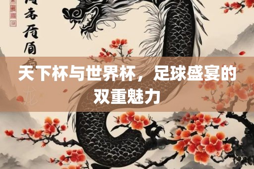 天下杯与世界杯，足球盛宴的双重魅力