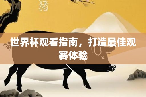 世界杯观看指南，打造最佳观赛体验