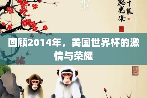 回顾2014年，美国世界杯的激情与荣耀