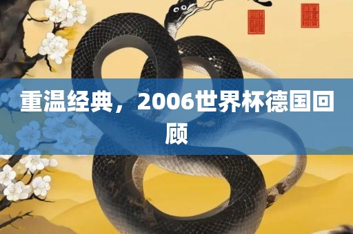 重温经典，2006世界杯德国回顾