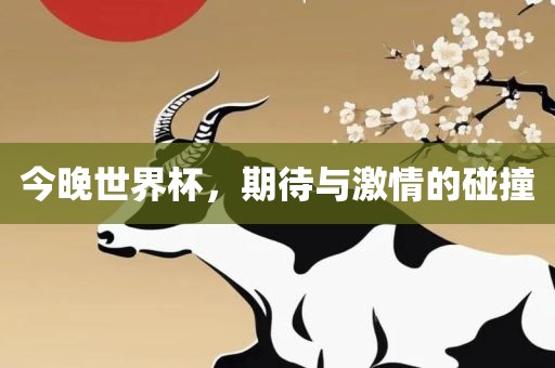 今晚世界杯，期待与激情的碰撞