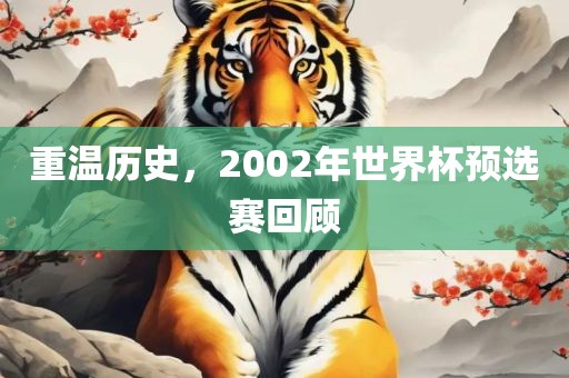 重温历史，2002年世界杯预选赛回顾