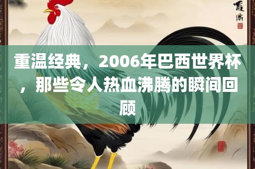 重温经典，2006年巴西世界杯，那些令人热血沸腾的瞬间回顾