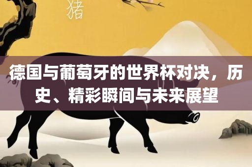 德国与葡萄牙的世界杯对决，历史、精彩瞬间与未来展望
