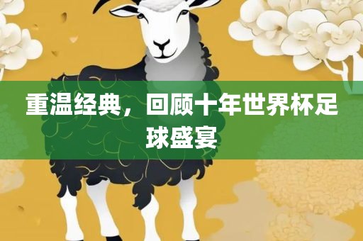 重温经典，回顾十年世界杯足球盛宴