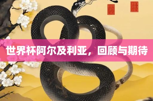 世界杯阿尔及利亚，回顾与期待