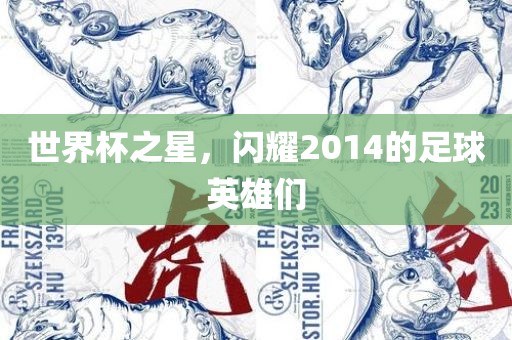 世界杯之星，闪耀2014的足球英雄们