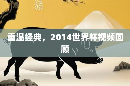 重温经典，2014世界杯视频回顾