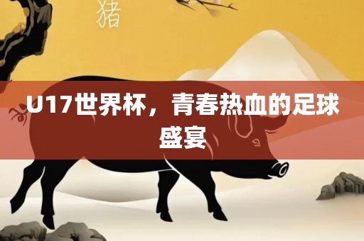 U17世界杯，青春热血的足球盛宴
