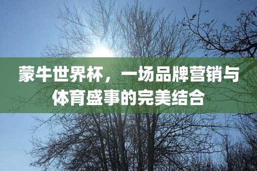 蒙牛世界杯，一场品牌营销与体育盛事的完美结合