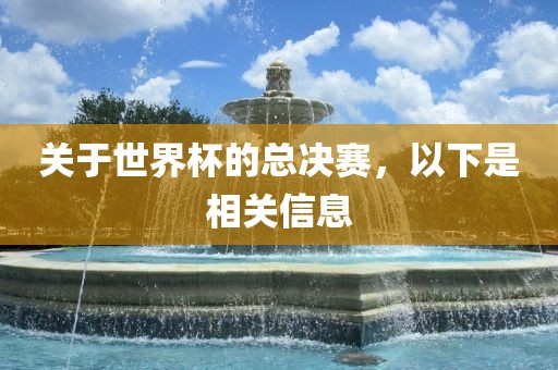 关于世界杯的总决赛，以下是相关信息
