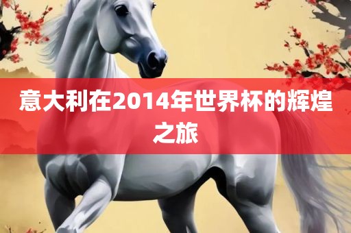 意大利在2014年世界杯的辉煌之旅