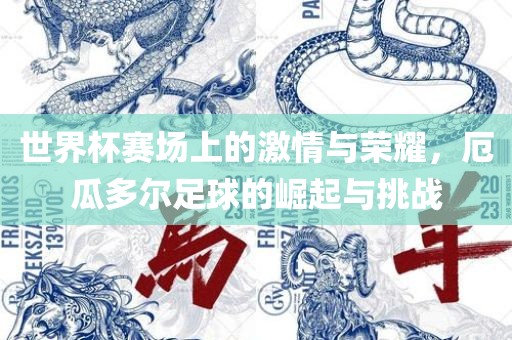 世界杯赛场上的激情与荣耀，厄瓜多尔足球的崛起与挑战