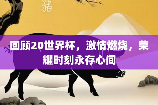 回顾20世界杯，激情燃烧，荣耀时刻永存心间漯河市盈旭机械设备有限公司