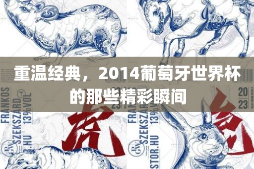 重温经典，2014葡萄牙世界杯的那些精彩瞬间