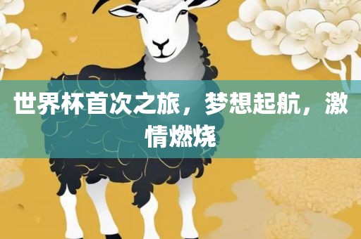 世界杯首次之旅，梦想起航，激情燃烧