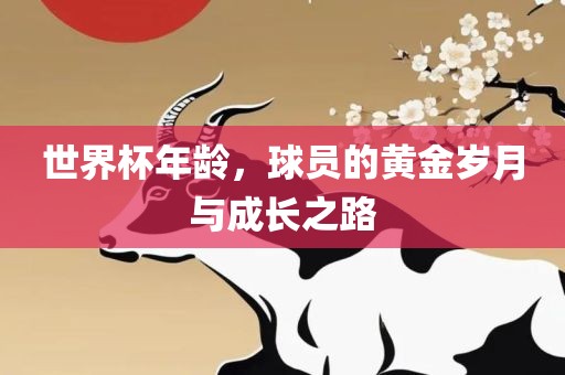 世界杯年龄，球员的黄金岁月与成长之路