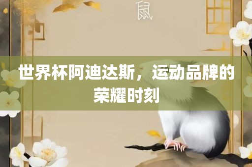 世界杯阿迪达斯，运动品牌的荣耀时刻
