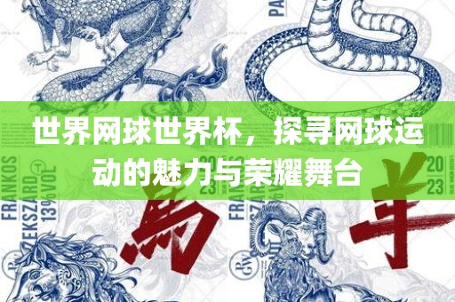 世界网球世界杯，探寻网球运动的魅力与荣耀舞台