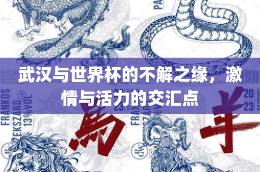 武汉与世界杯的不解之缘，激情与活力的交汇点