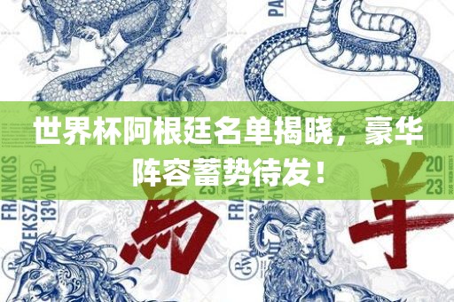 世界杯阿根廷名单揭晓，豪华阵容蓄势待发！