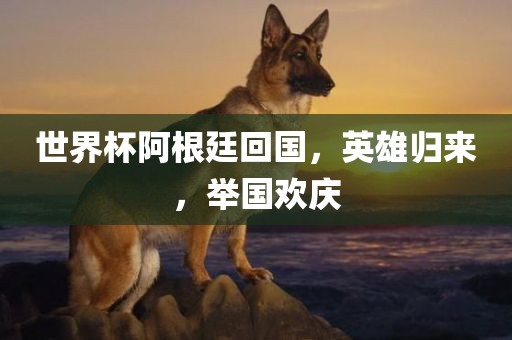 世界杯阿根廷回国，英雄归来，举国欢庆