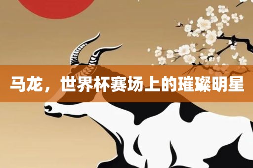 马龙，世界杯赛场上的璀璨明星