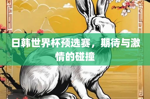 日韩世界杯预选赛，期待与激情的碰撞