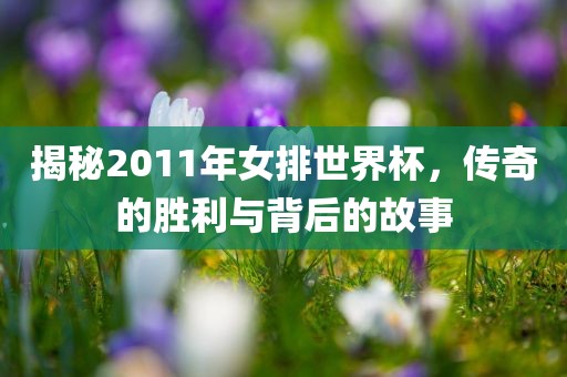 揭秘2011年女排世界杯，传奇的胜利与背后的故事