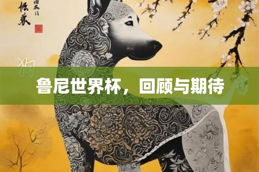 鲁尼世界杯，回顾与期待