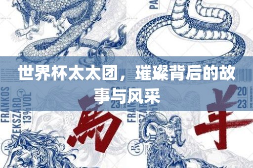 世界杯太太团，璀璨背后的故事与风采