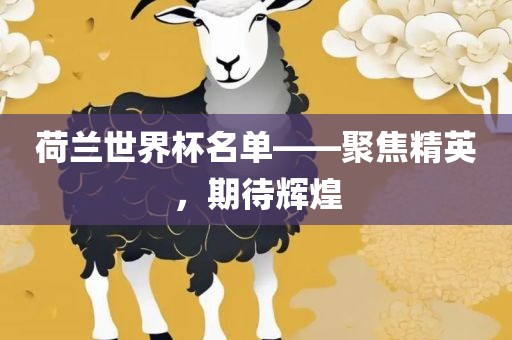 荷兰世界杯名单——聚焦精英，期待辉煌