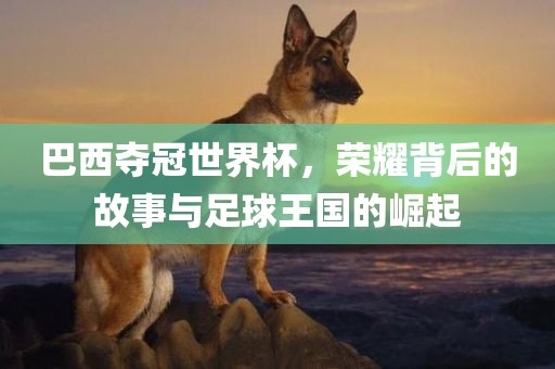 巴西夺冠世界杯，荣耀背后的故事与足球王国的崛起