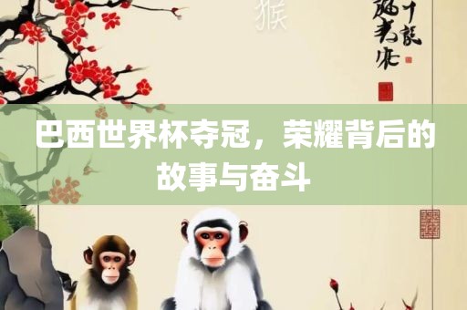 巴西世界杯夺冠，荣耀背后的故事与奋斗