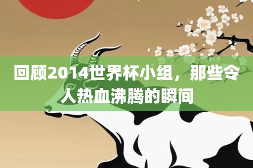 回顾2014世界杯小组，那些令人热血沸腾的瞬间