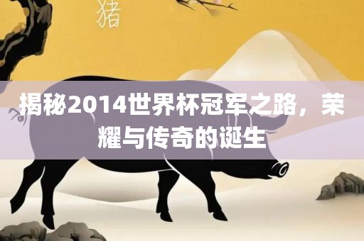 揭秘2014世界杯冠军之路，荣耀与传奇的诞生