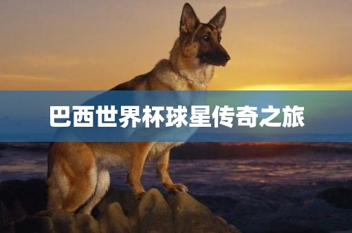 巴西世界杯球星传奇之旅