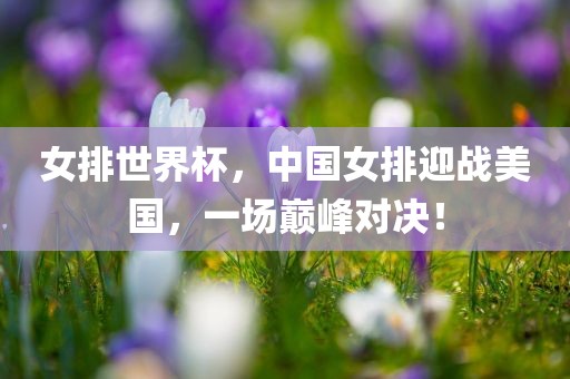 女排世界杯，中国女排迎战美国，一场巅峰对决！