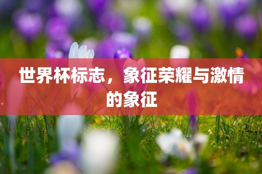 世界杯标志，象征荣耀与激情的象征